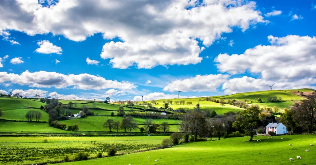 découvrez les tendances actuelles des prix des moutons. informez-vous sur les facteurs qui influencent le marché et obtenez des conseils pour acheter ou vendre des ovins au meilleur prix.